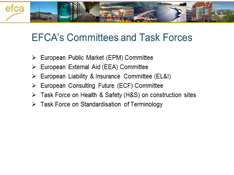 EFCA’s Committees and Task Forces European Public Market (EPM) Committee European External Aid (EEA)